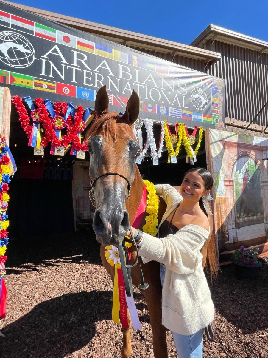 Arabian Horse Association of Arizona Scottsdale AZ, 85267