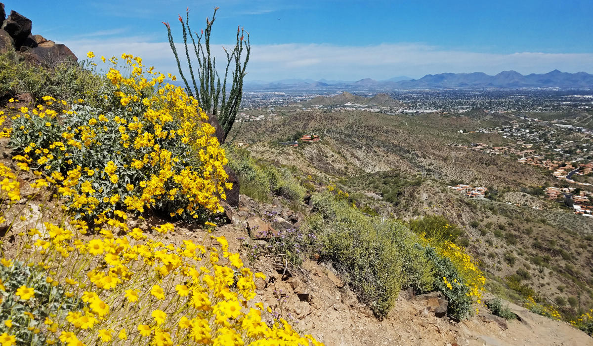 North Mountain Park Phoenix AZ, 85020