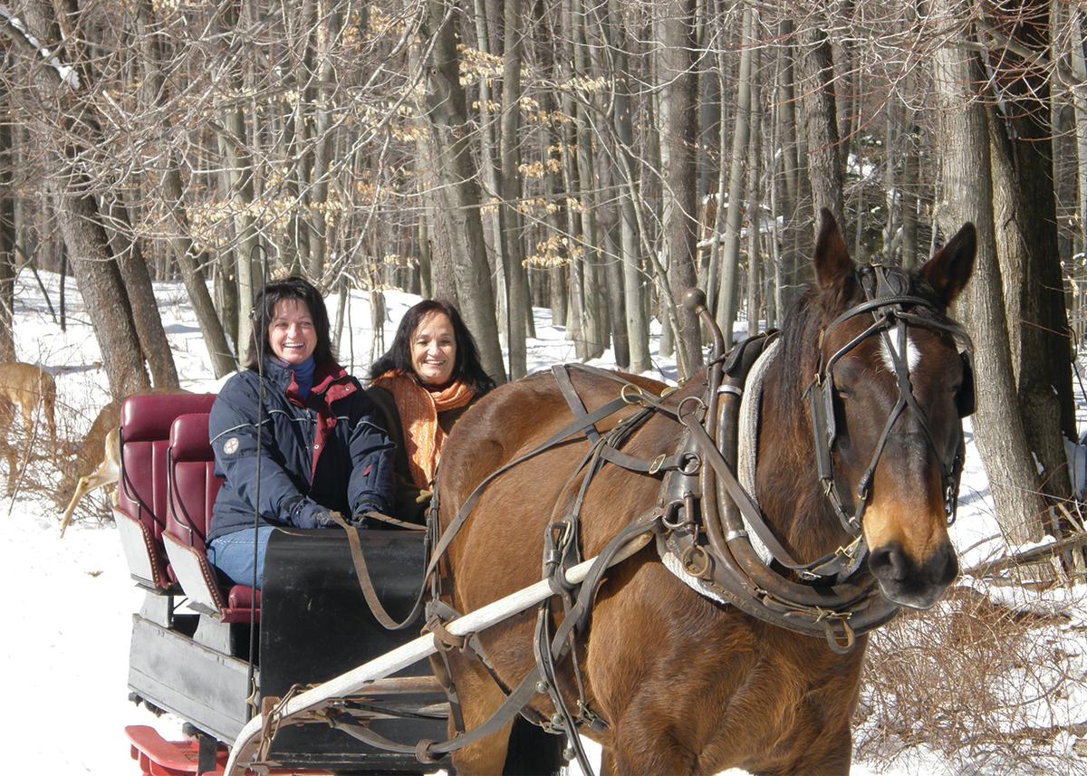 Daisy Field Farm White Haven, PA 18661