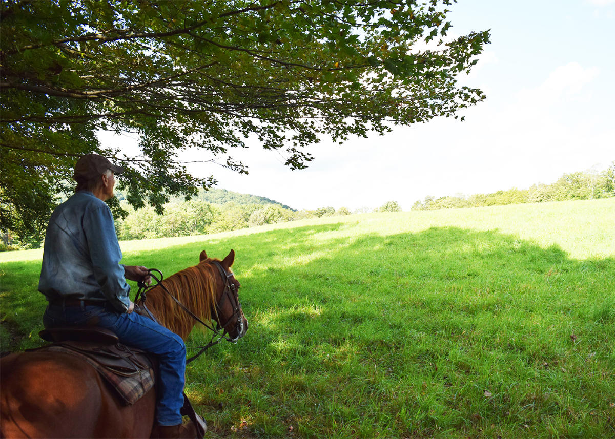 Daisy Field Farm White Haven, PA 18661