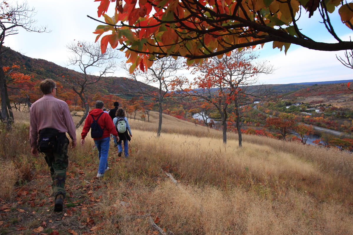 Lehigh Gap Nature Center Slatington, PA 18080