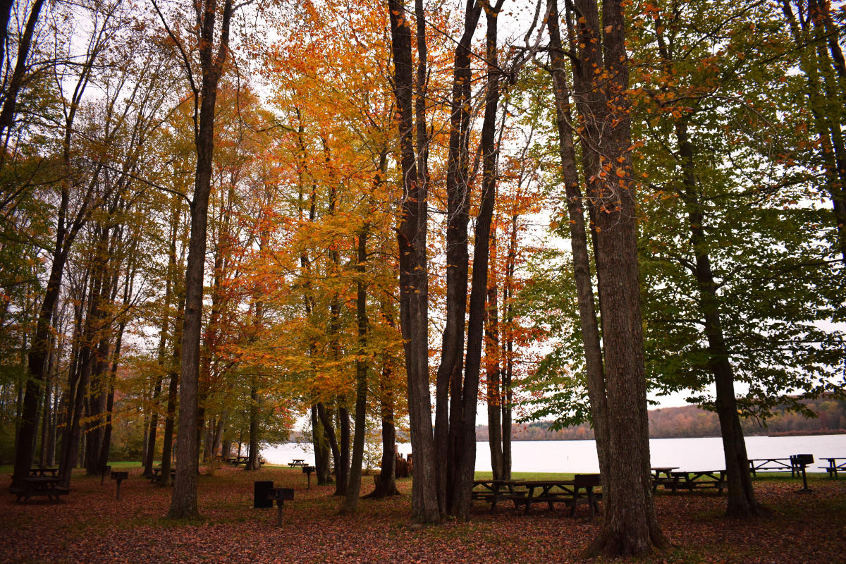 Gouldsboro State Park Hunting Gouldsboro, PA 18424