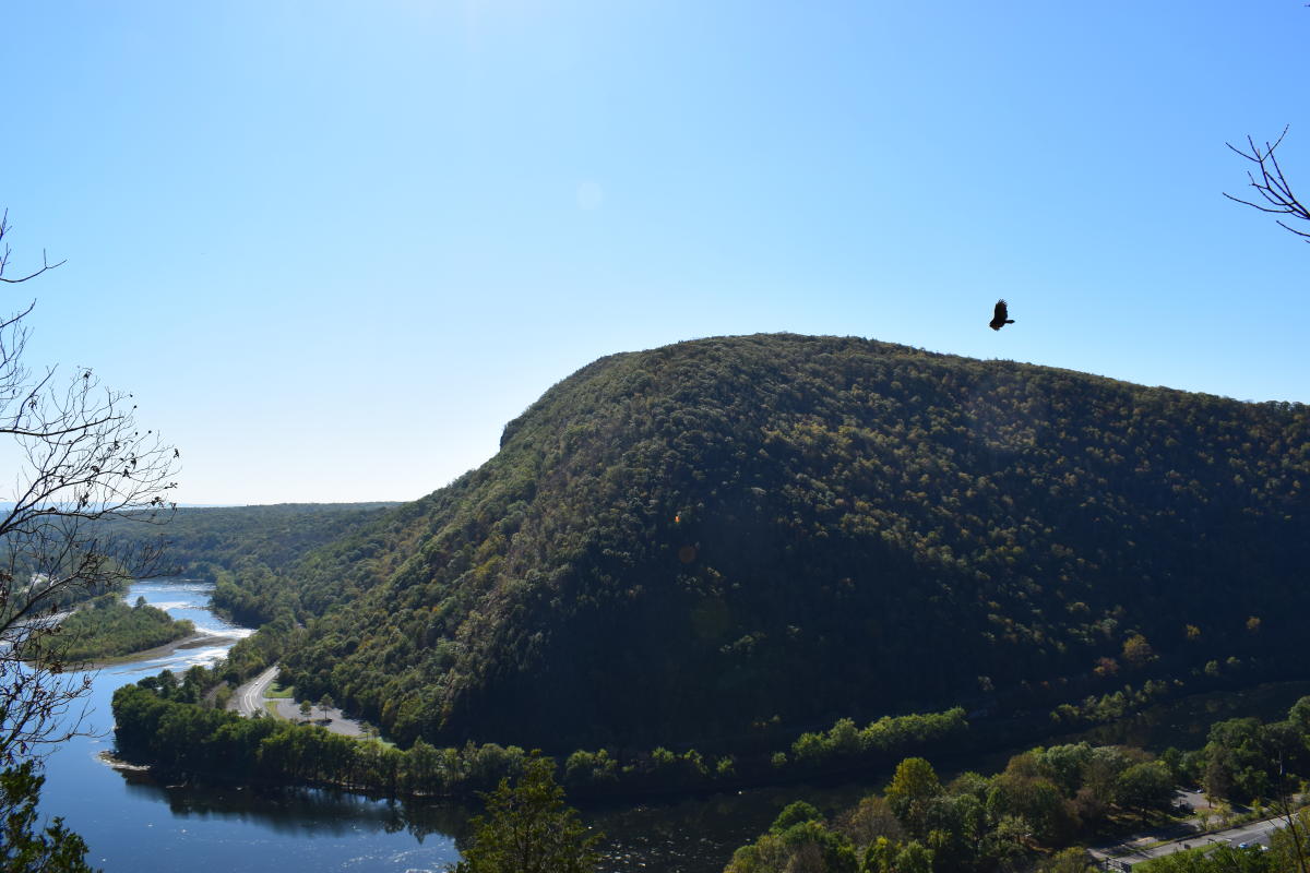 Delaware Water Gap National Recreation Area Bushkill, PA 183249999