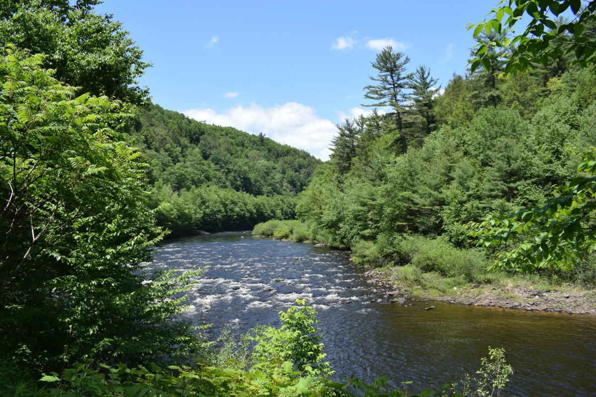 Annual Wine on the River Carbon Chamber and Economic Development