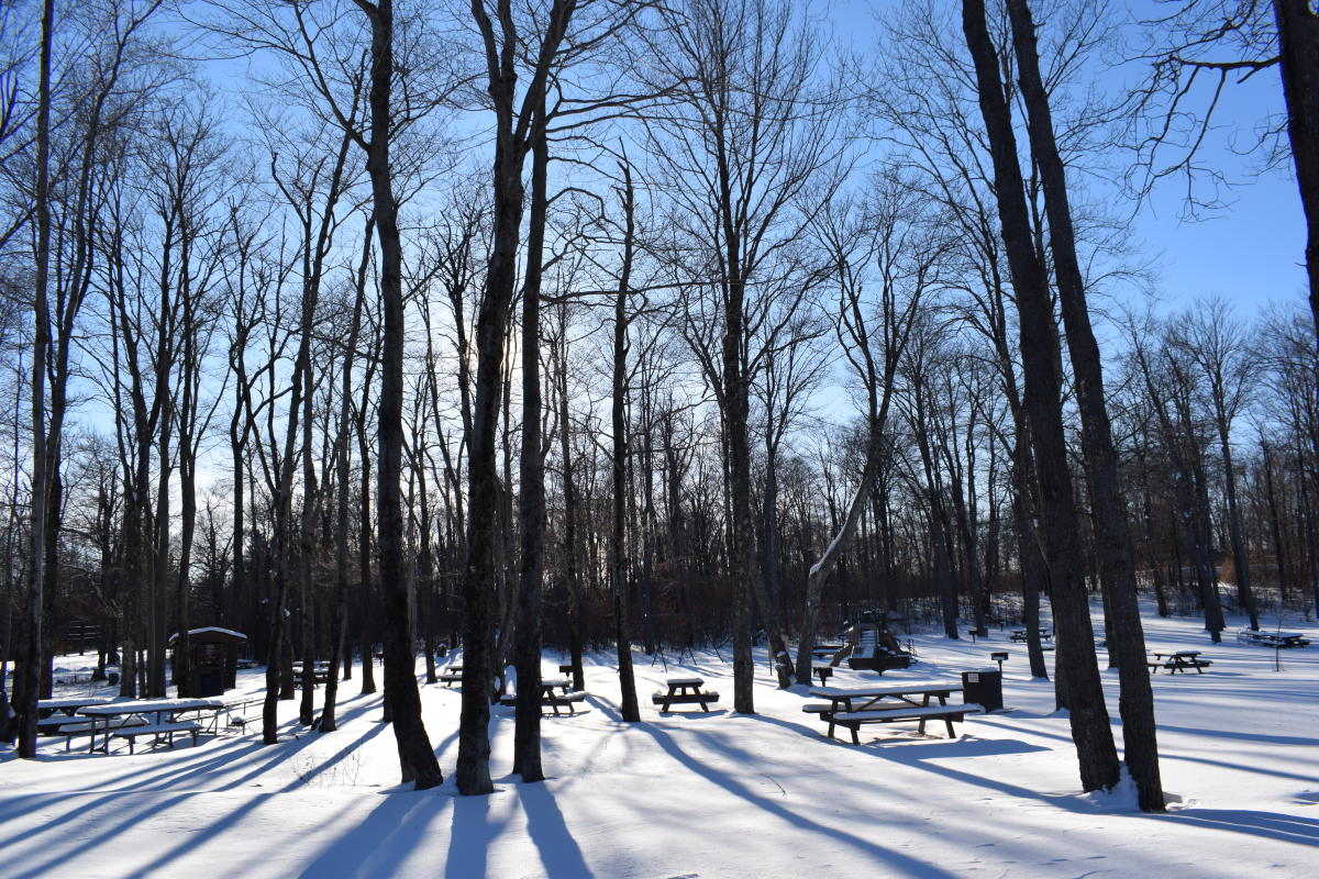 Tobyhanna State Park - Snowmobiling | Tobyhanna, PA 18466