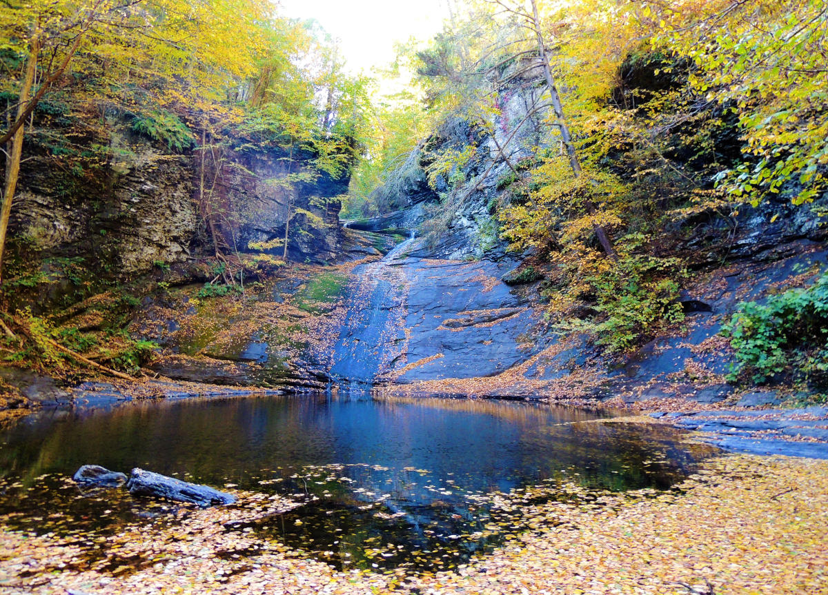 Hornbecks Creek Trail Dingmans Ferry, PA 18328