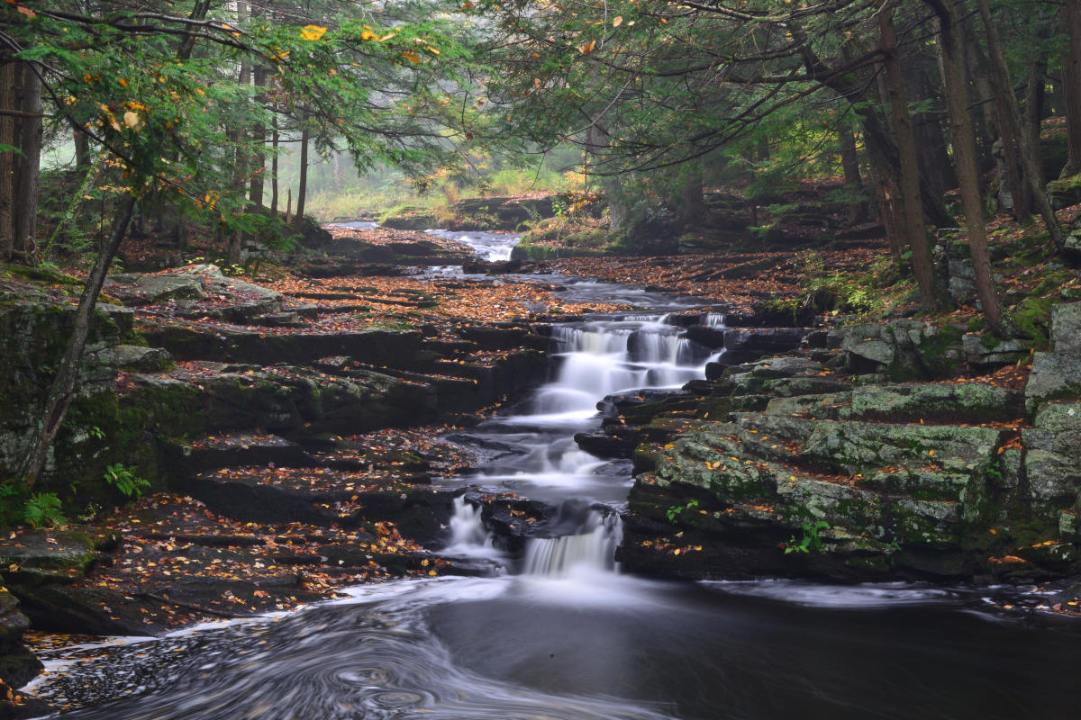 Promised Land: Where Pennsylvania's Beauty Meets Your Inner Adventurer