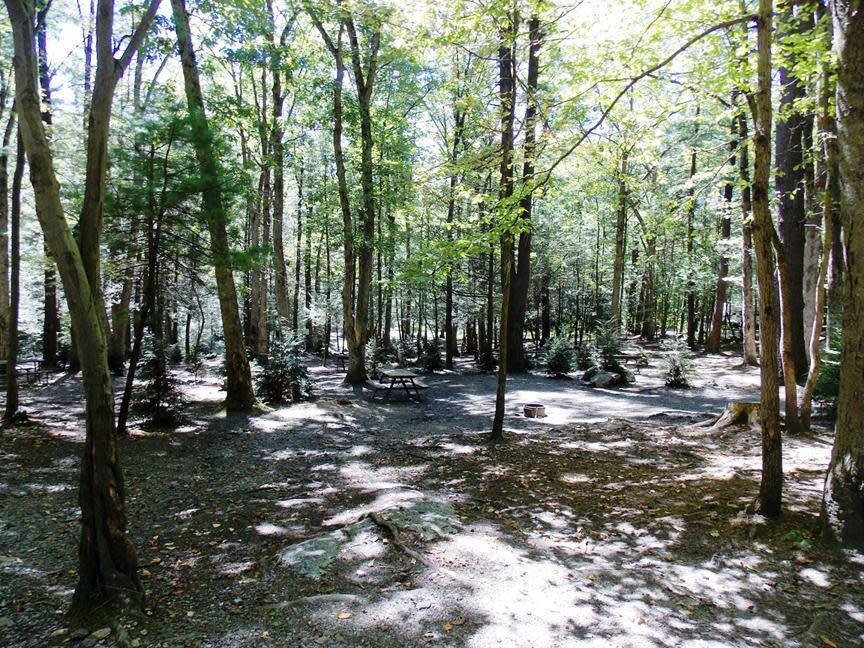 Jim Thorpe Camping Resort Jim Thorpe, PA 18229