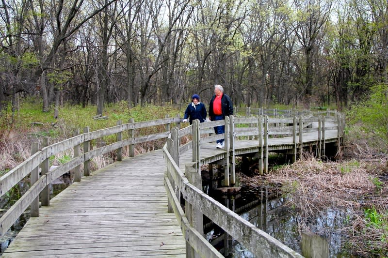 Gibson Woods Nature Preserve