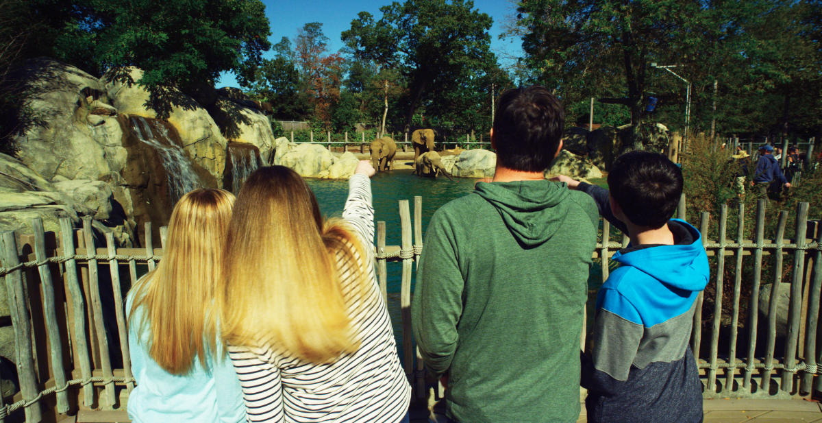 Roger Williams Park Zoo Carousel Village Carousel village at historic roger williams park, providence, ri. roger williams park zoo carousel village