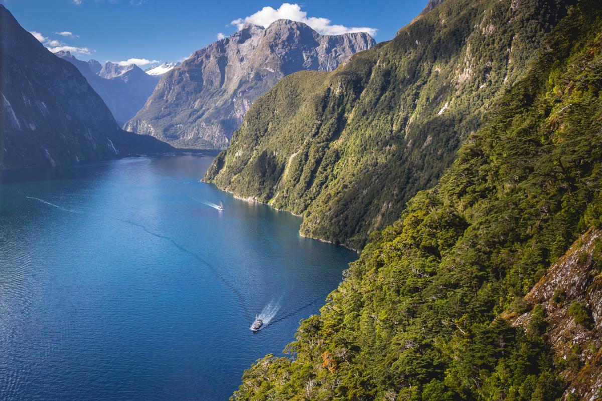 Milford Sound Cruises Official Queenstown Website