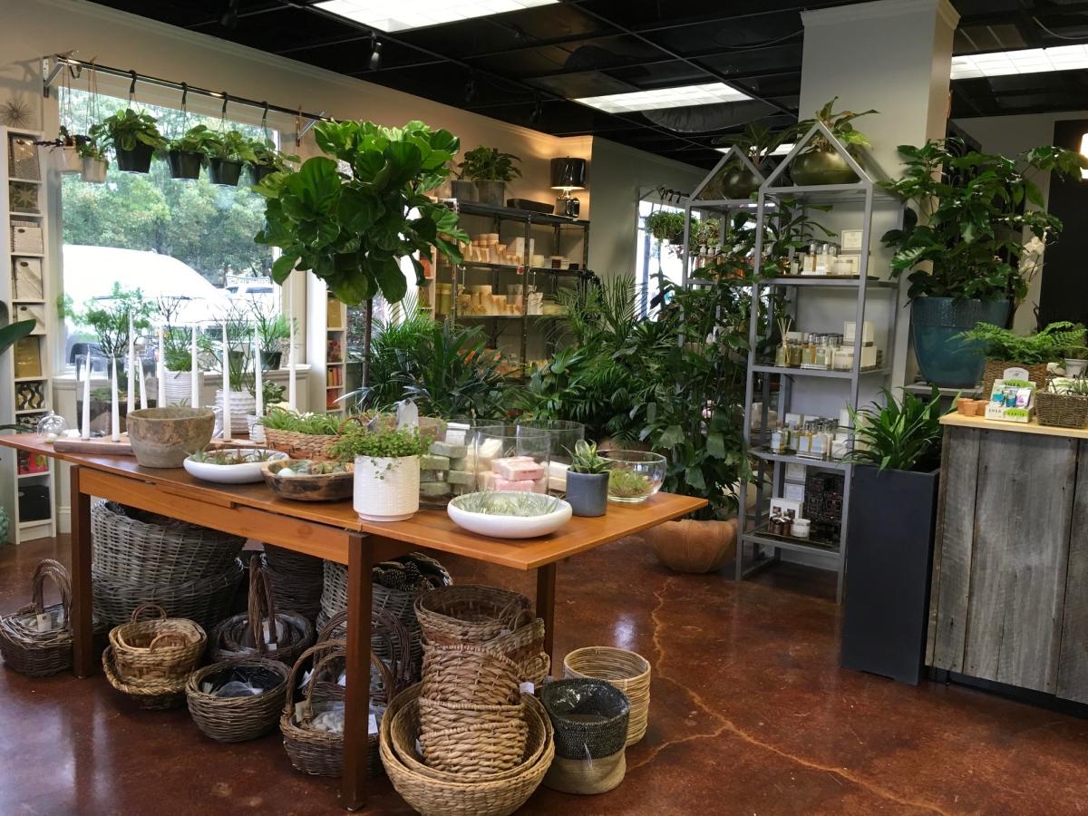 City Garden Design Cary, NC 27511