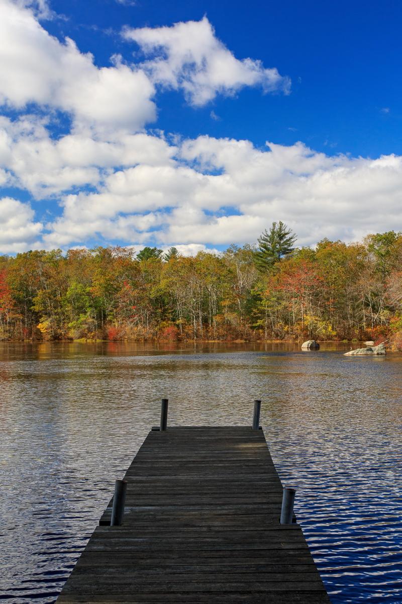 Maxwell Mays Wildlife Refuge | Coventry, RI 02816