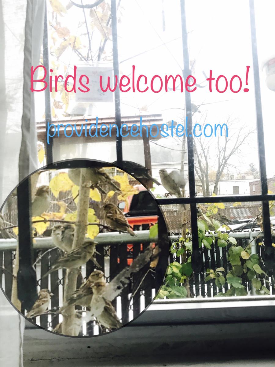 Esperanto Providence Hostel And Guesthouse Providence