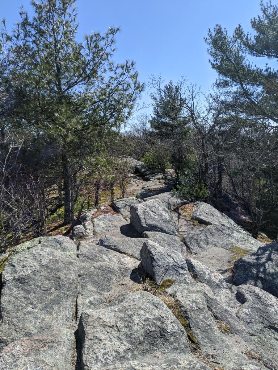 Weetamoo Woods Trail Map Weetamoo Woods Tiverton Ri 02878