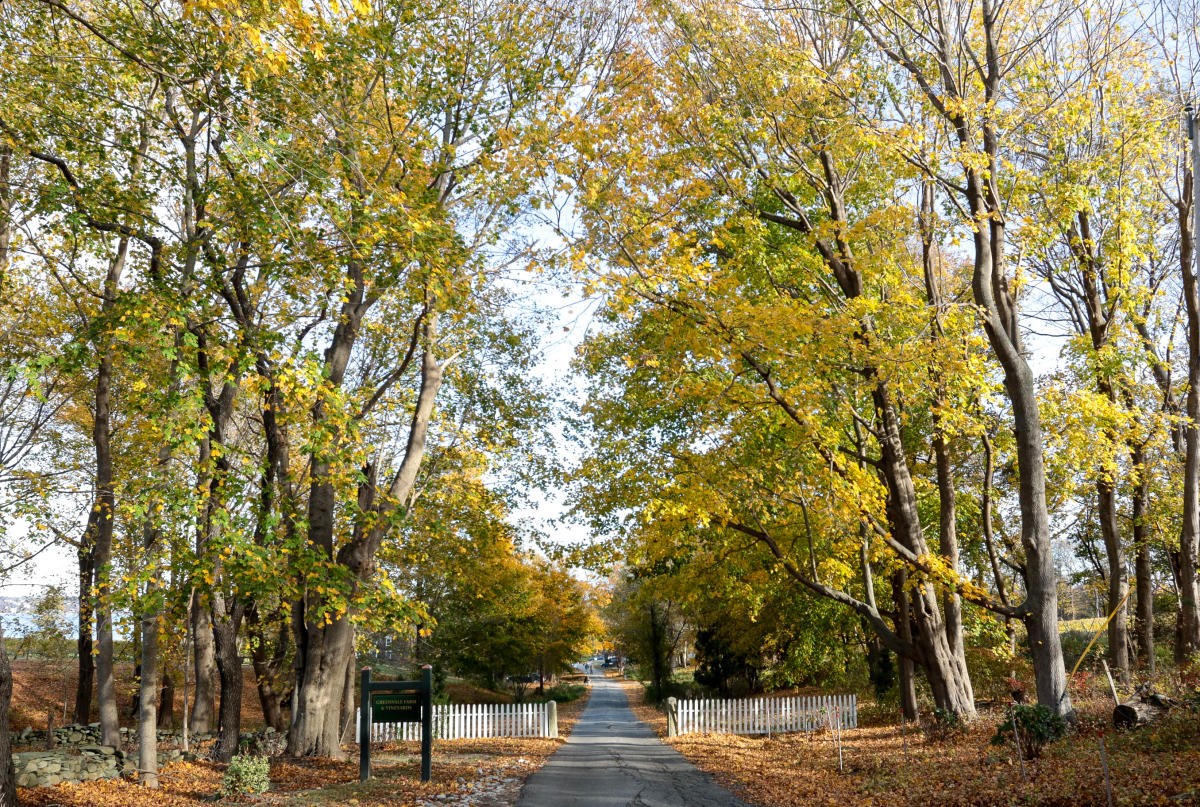 Century 21 Topsail Realty Portsmouth Portsmouth, RI 02871