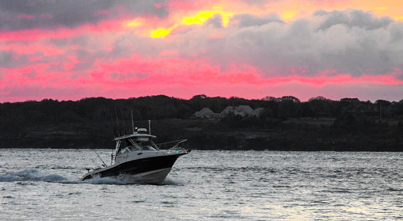 reel addiction fishing charters