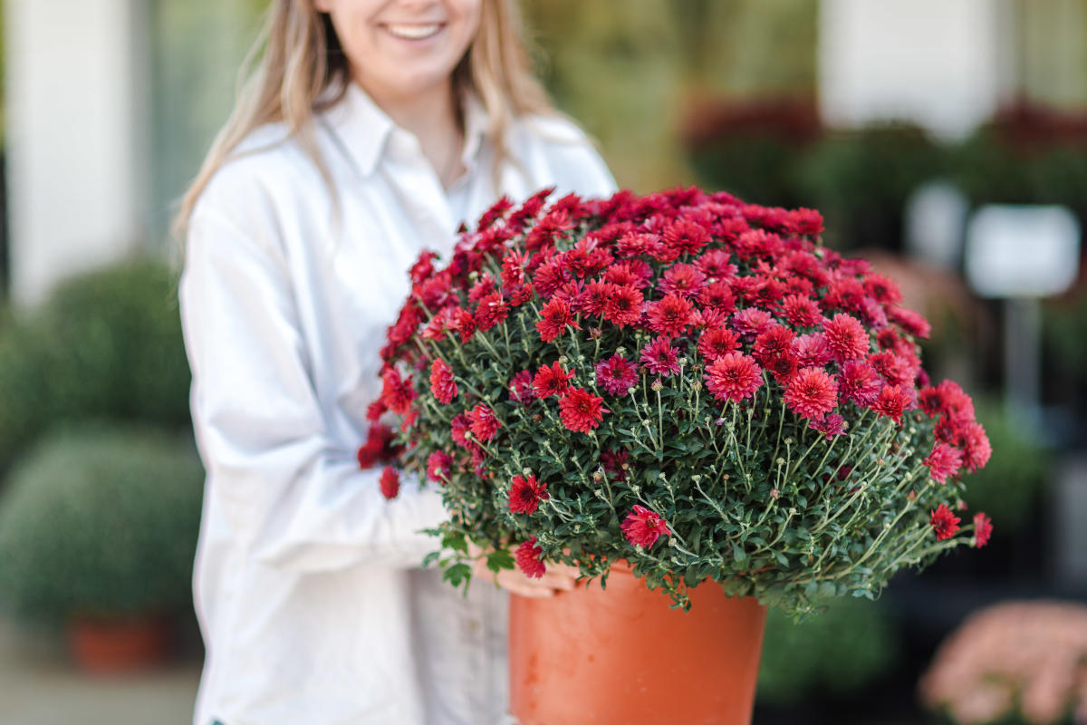 Flowers by Jerry | Rochester, MN 55906