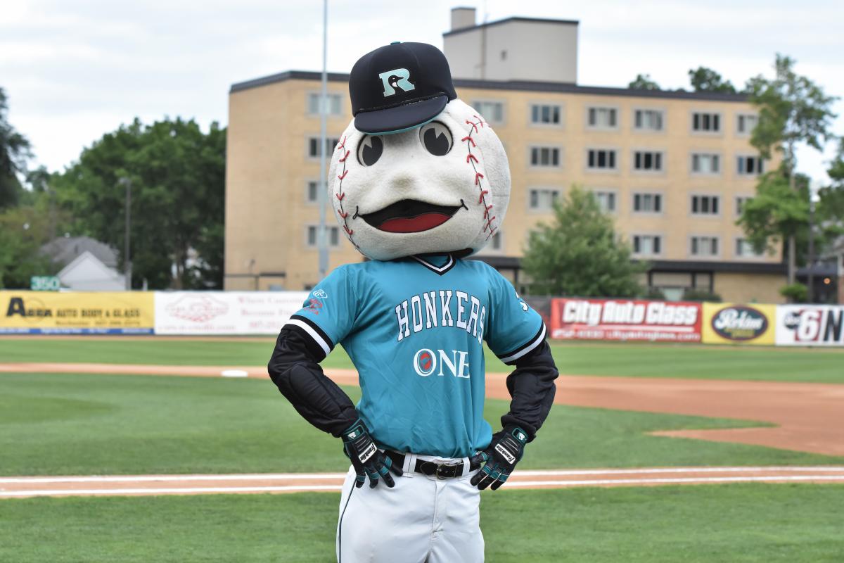 Rochester Honkers Baseball Rochester Mn 55904