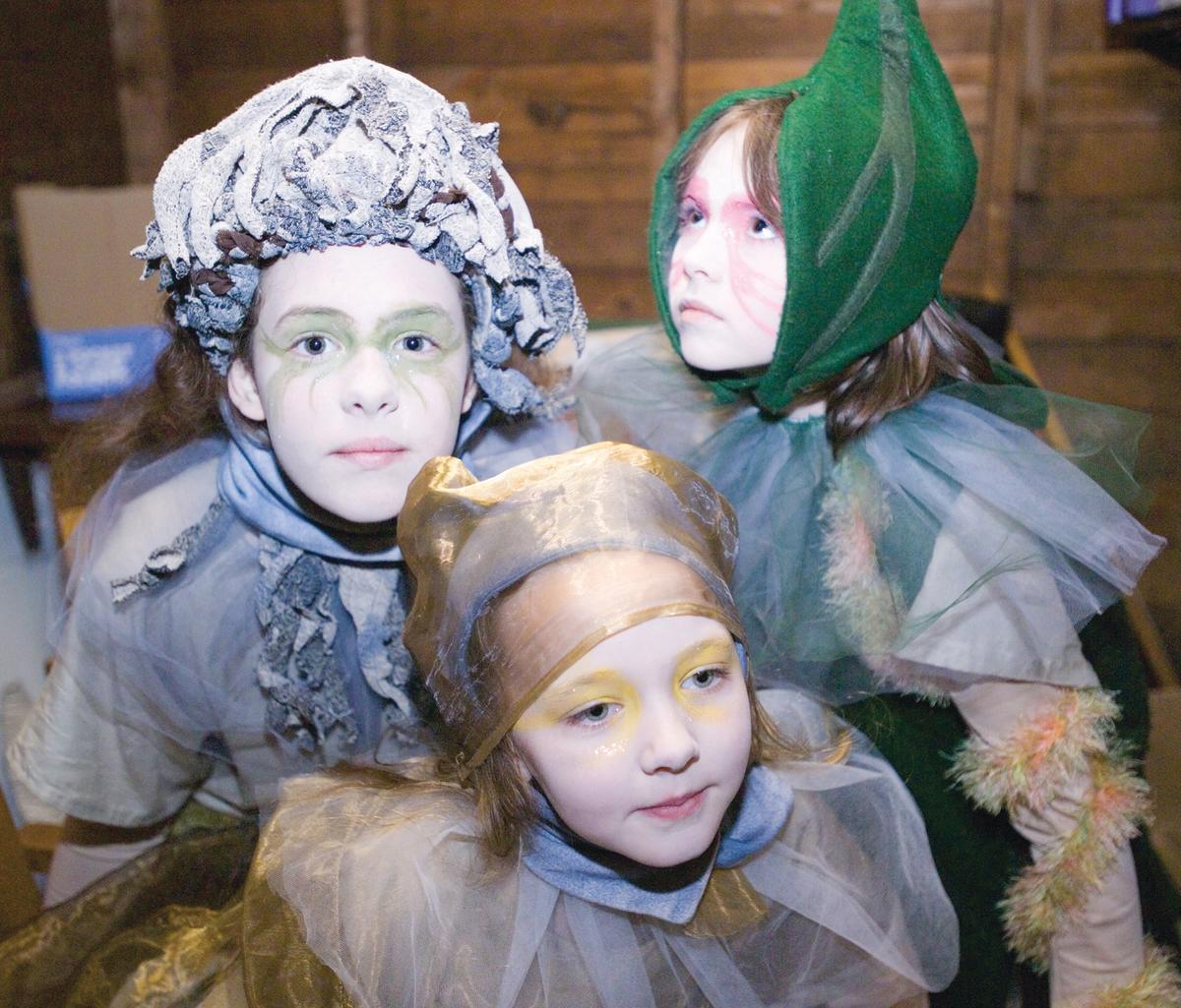 Children S Dance Theatre Rochester Mn 55902