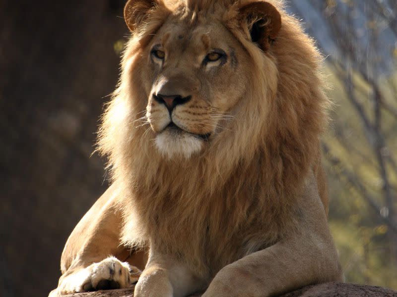 Utah S Hogle Zoo Salt Lake City Ut 84108 1454