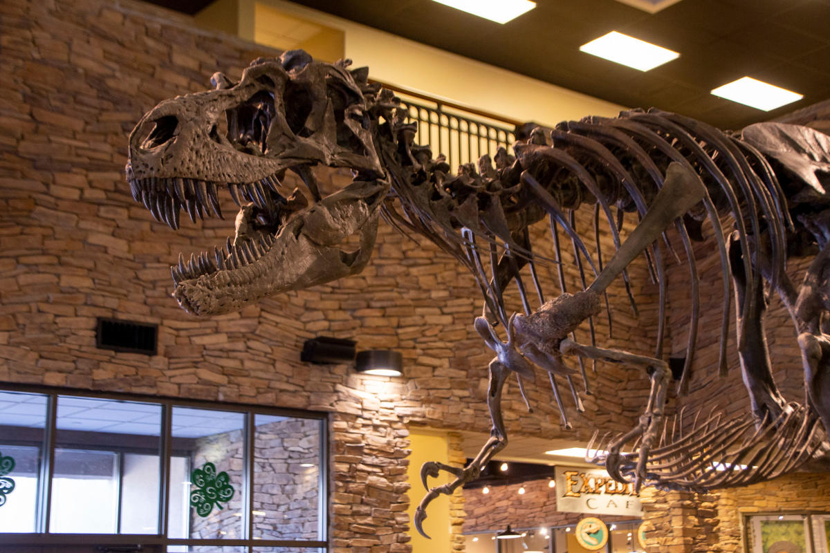 Thanksgiving Point | Lehi, UT 84043