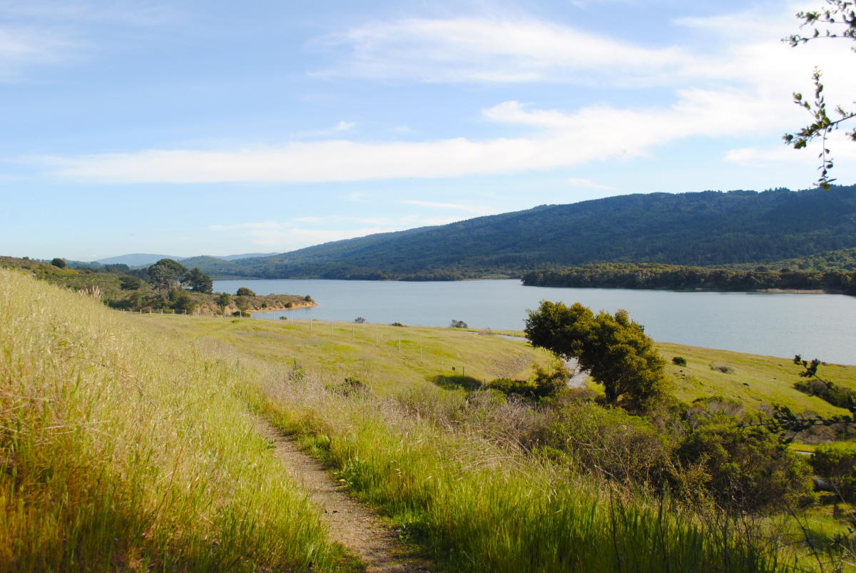 Crystal Springs Regional Trail