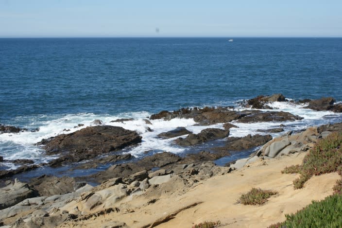 Bean Hollow State Beach