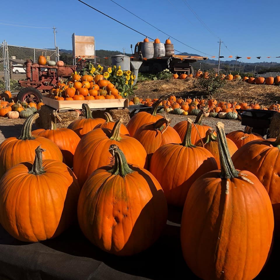 Andreotti Family Farms andreotti-family-farms