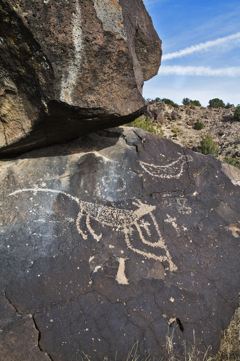 Mesa Prieta Petroglyph Project