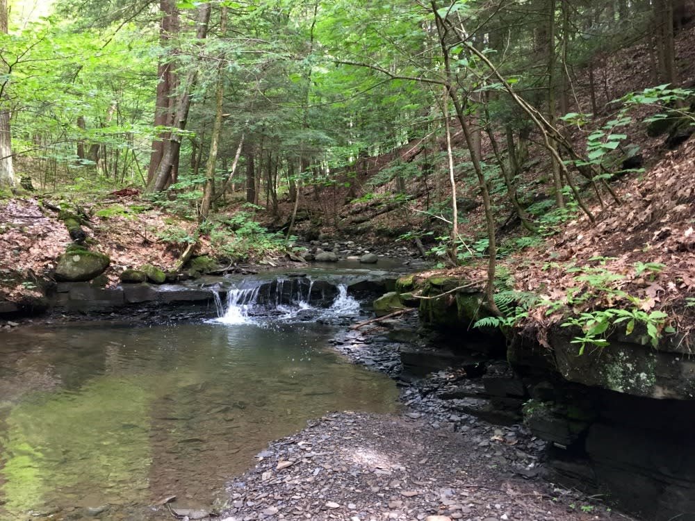 Sanders Town Preserve