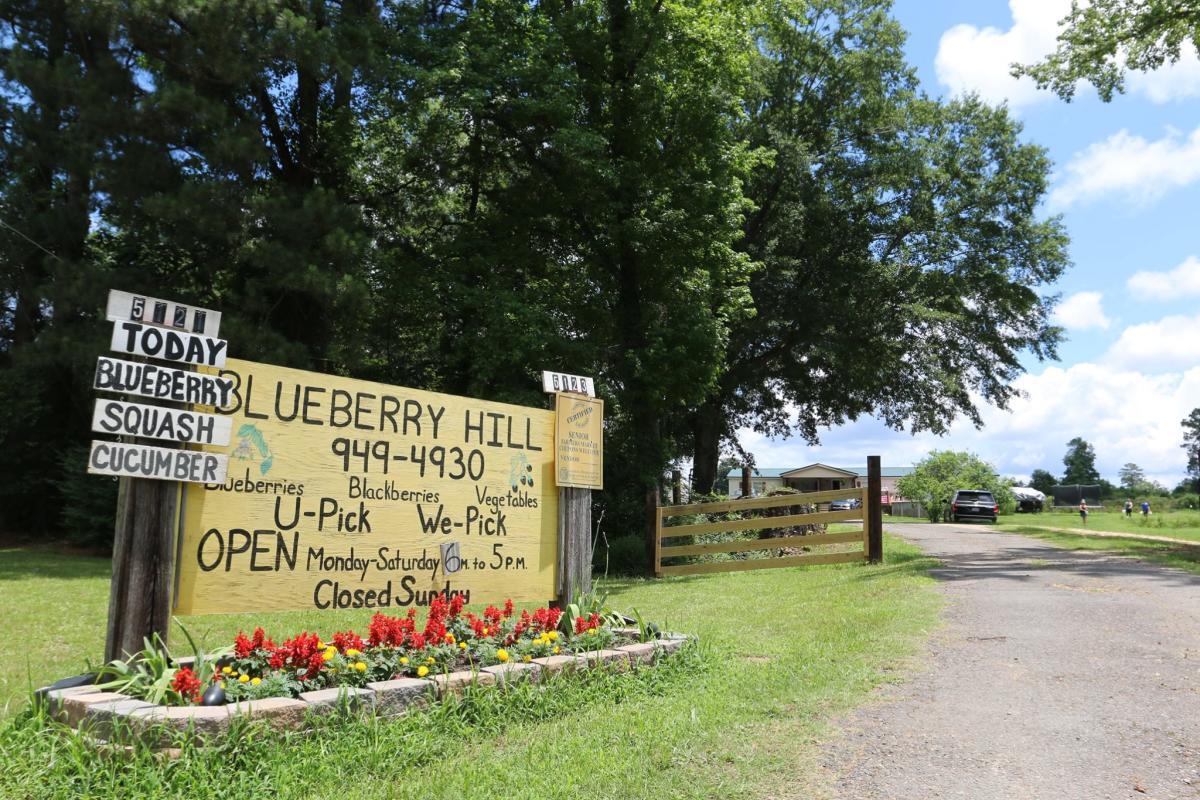 Blueberry Hill