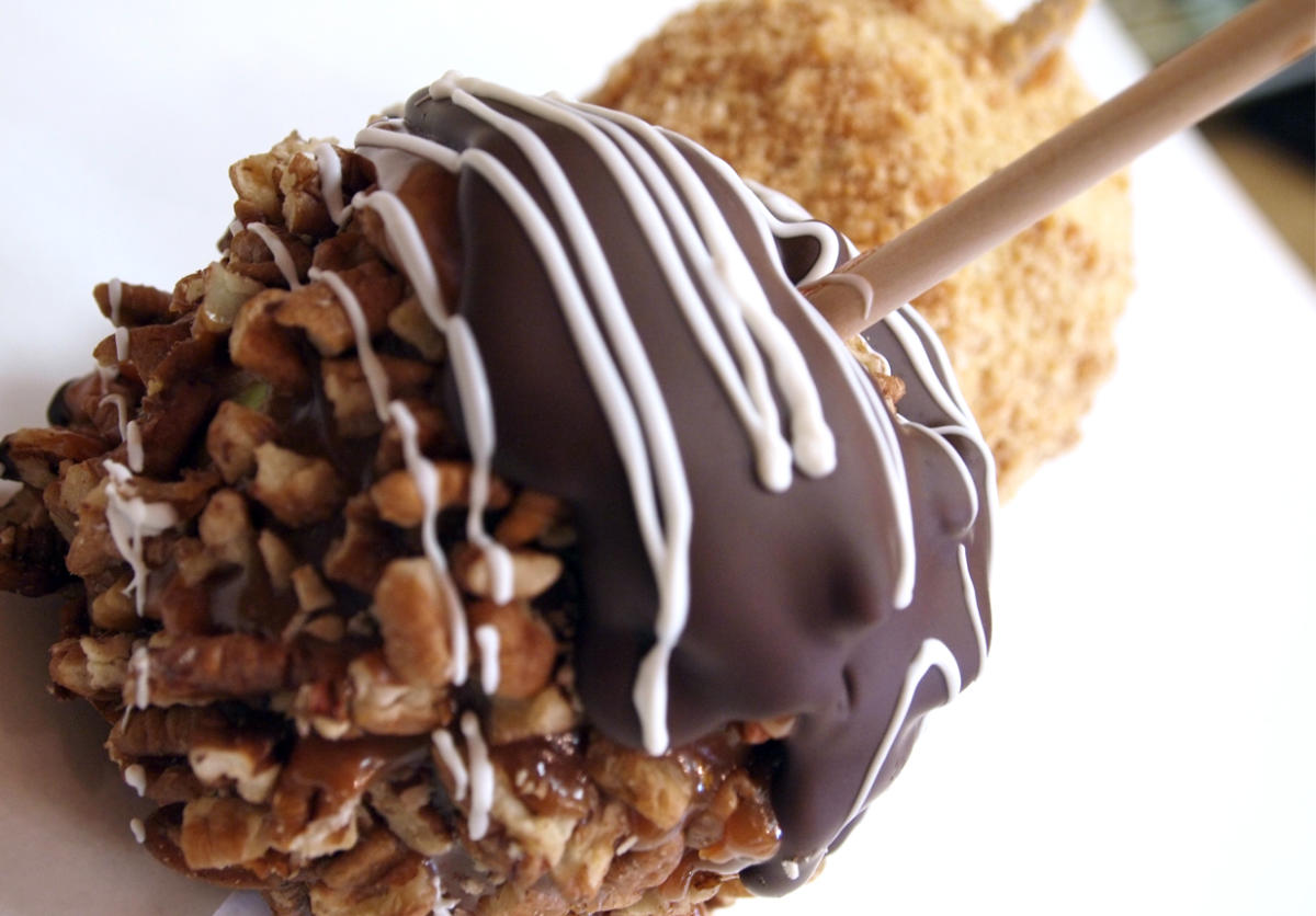 The Chocolate Crocodile