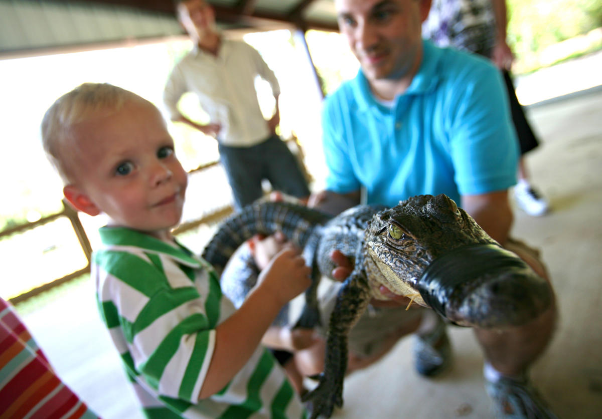 Gators and Friends Adventure Park | Greenwood, LA