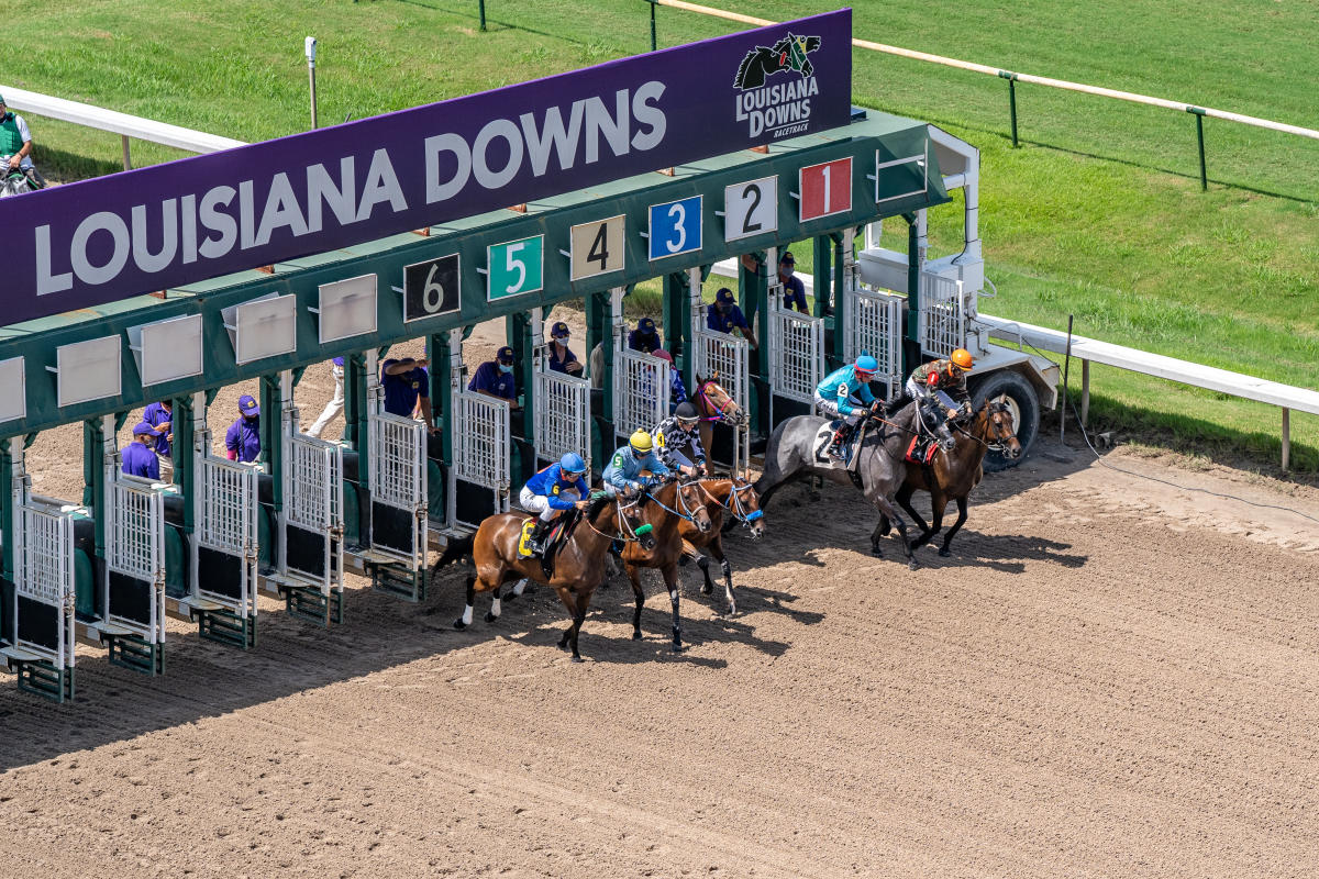 Louisiana Downs Casino & Racetrack Bossier City, LA