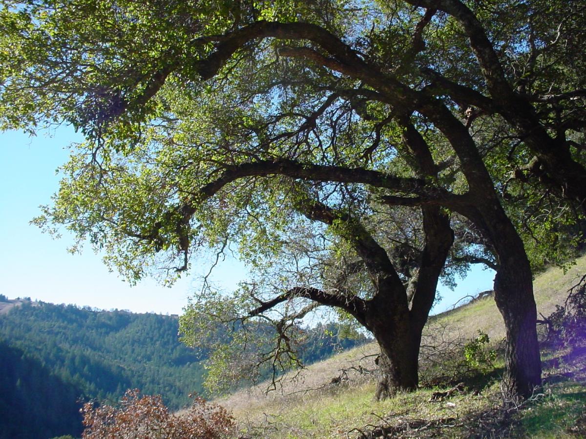 Hood Mountain Regional Park Map Hood Mountain Regional Park