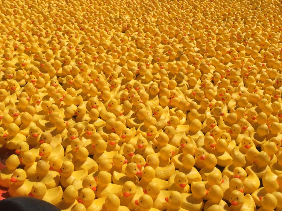 Annual Pawcatuck River Duck Race