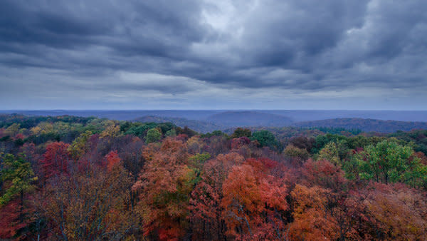 Escape To The Enchanting Woods: Indiana’s Harrison-Crawford State Forest