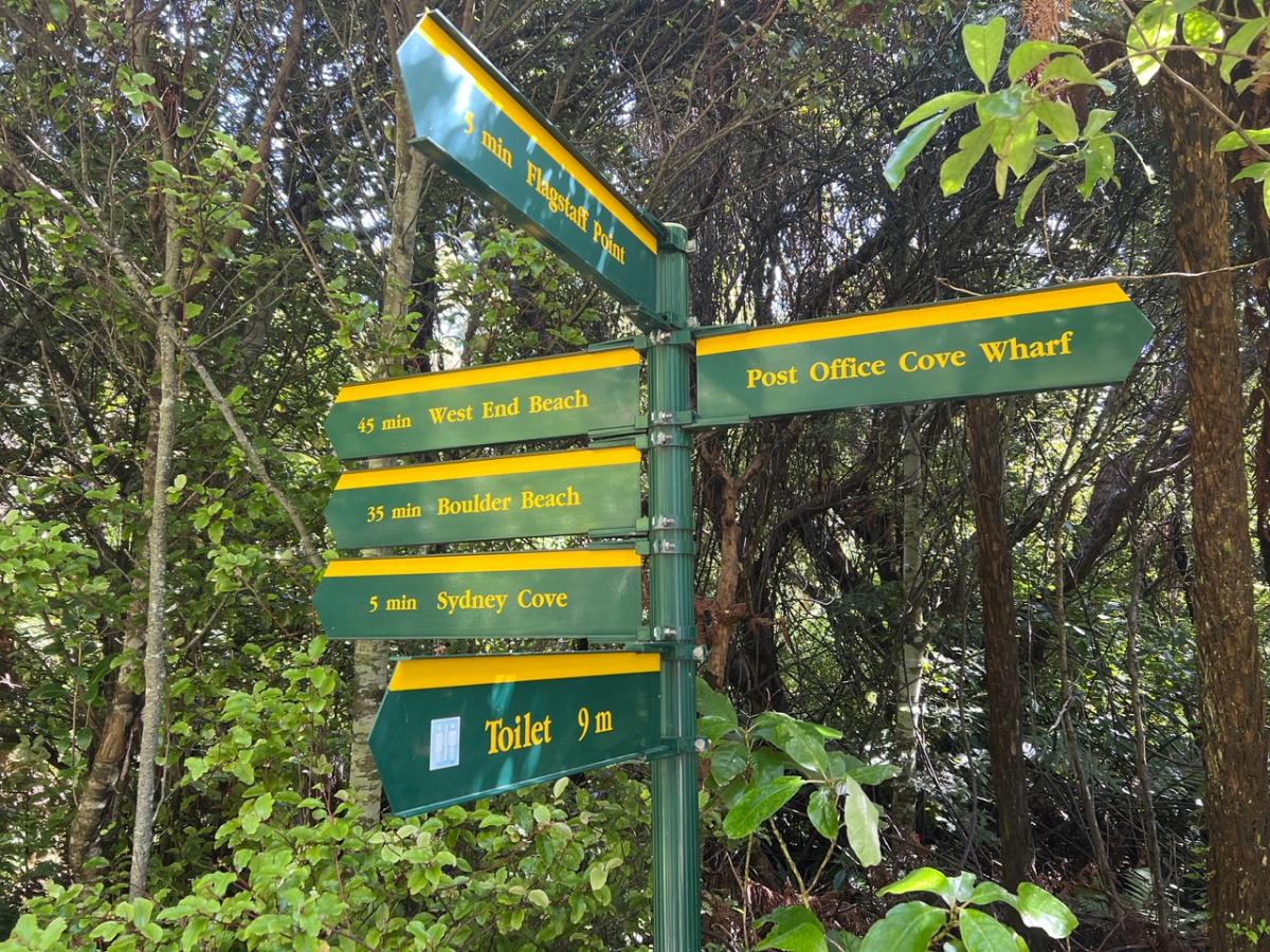 Flagstaff Point Lookout