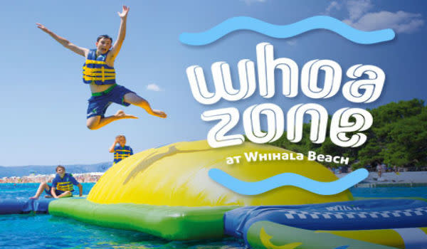 Whoa Zone Whiting In 46394