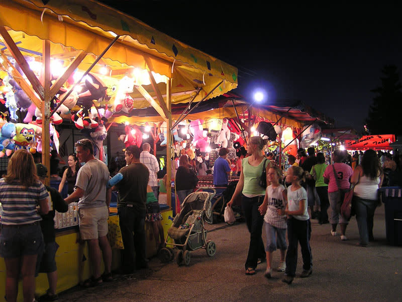 Lake County Fair Crown Point In 46307