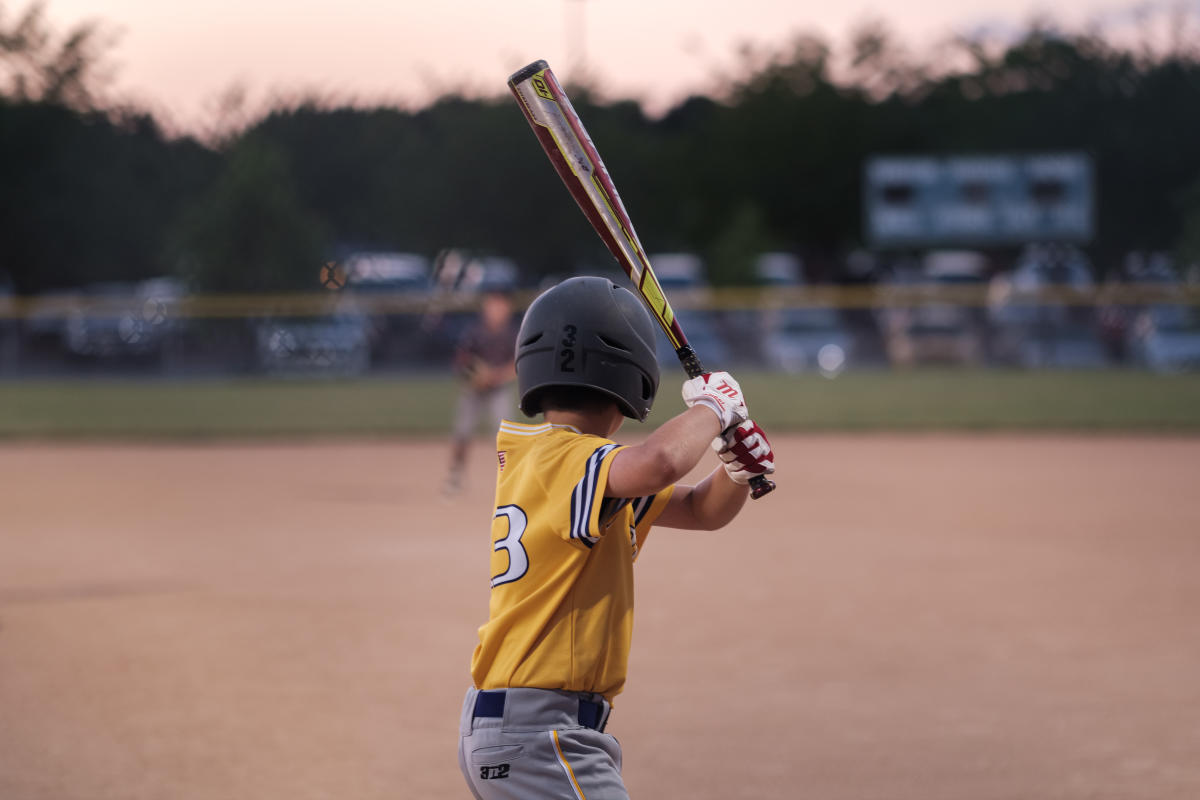 Ozzie Smith Sports Complex