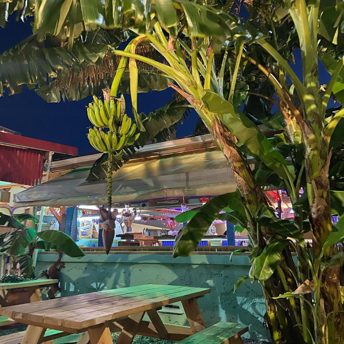 Lee's Roadside Grill