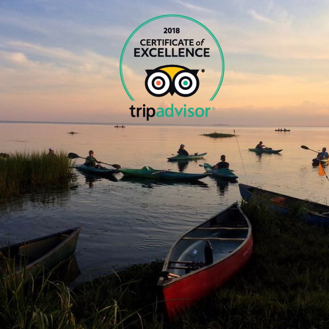 Canoe and Trail Adventures Canoe and Kayak Eco Swamp Tours