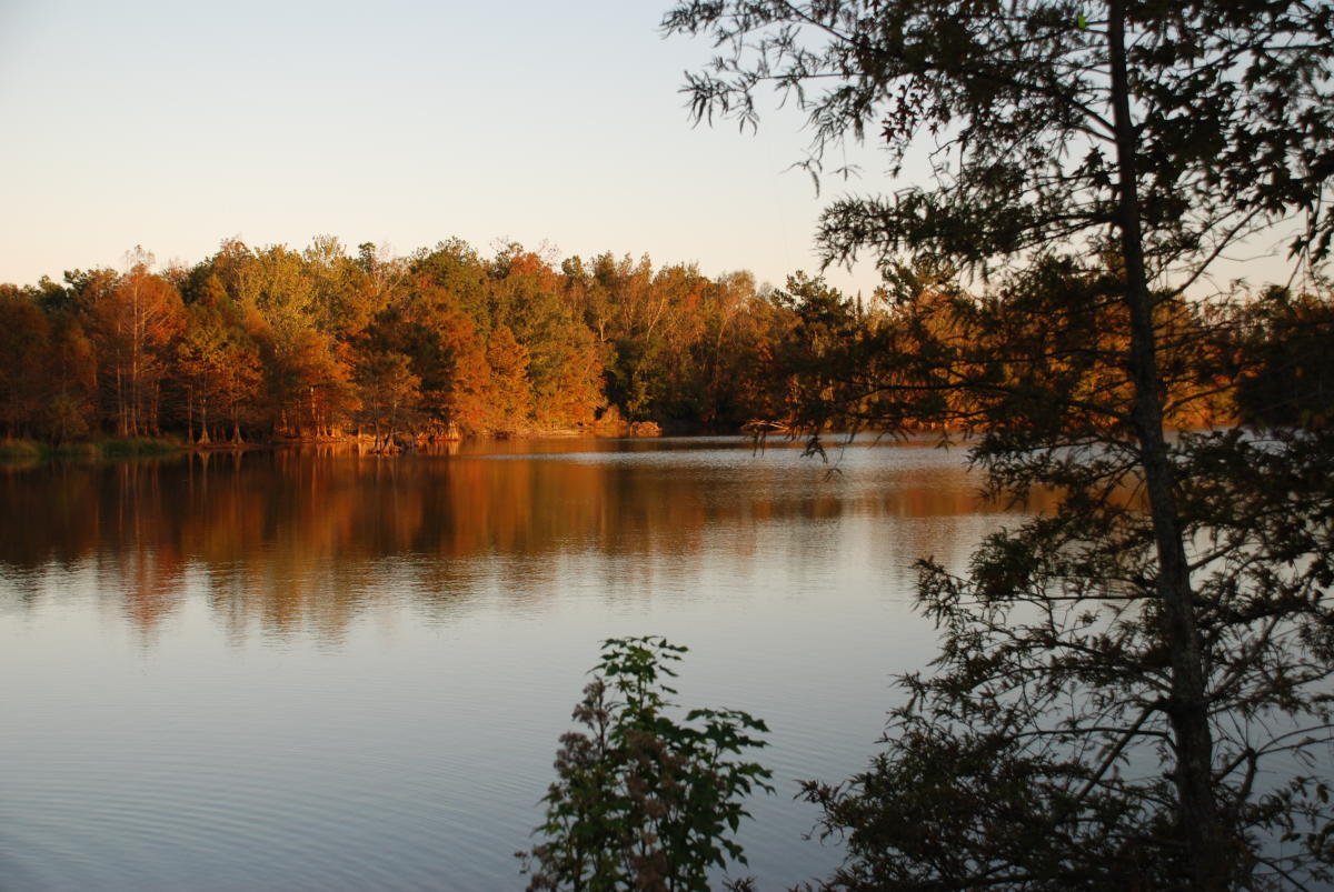 Bogue Chitto National Wildlife Refuge Pearl River, LA 70452