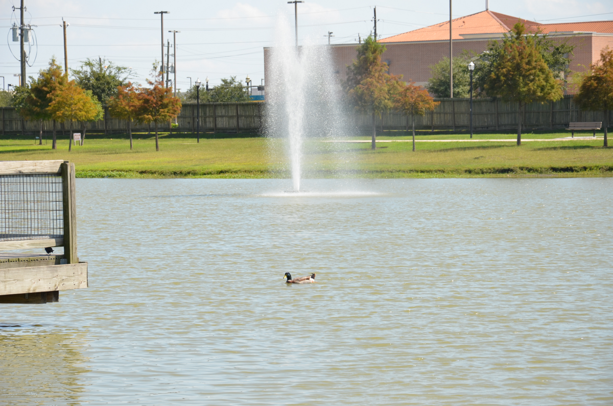 Eldridge Park Attractions Visit Sugar Land, Texas