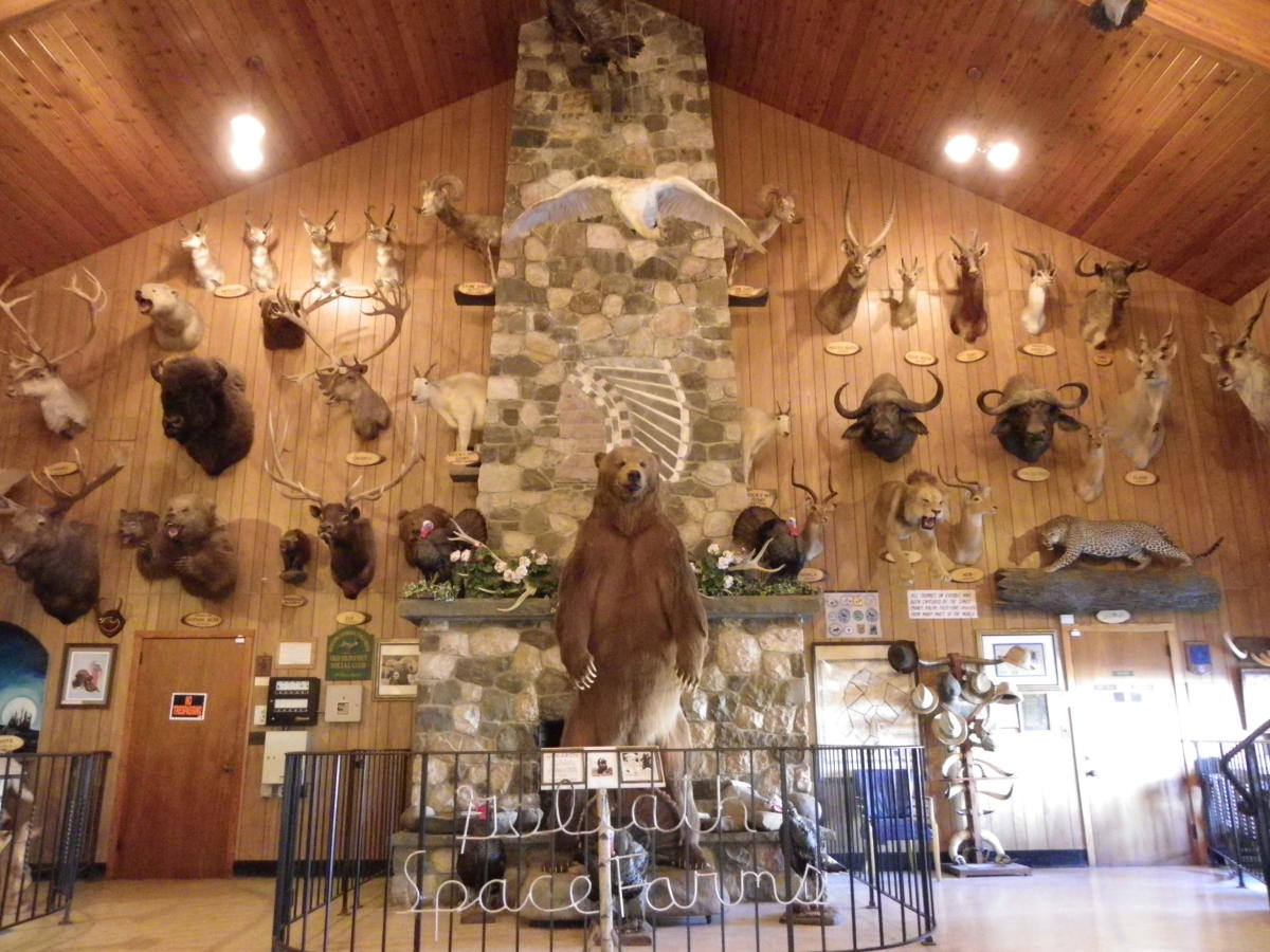 Space Farms Zoo & Museum