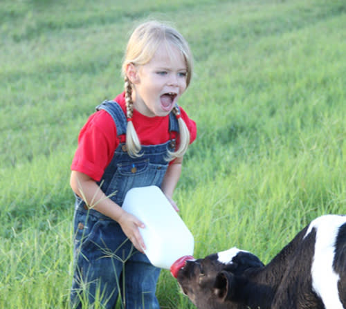 Dakin Dairy Farms