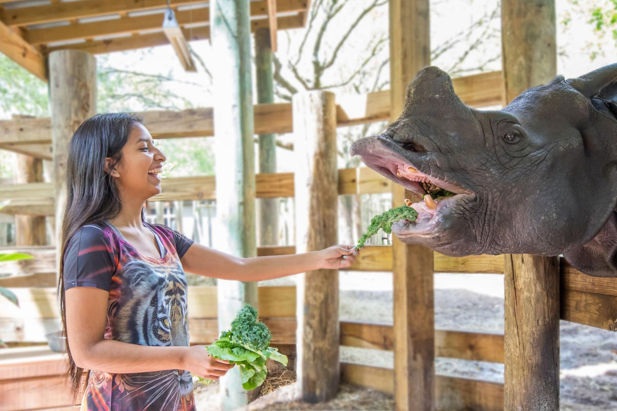 Zootampa At Lowry Park