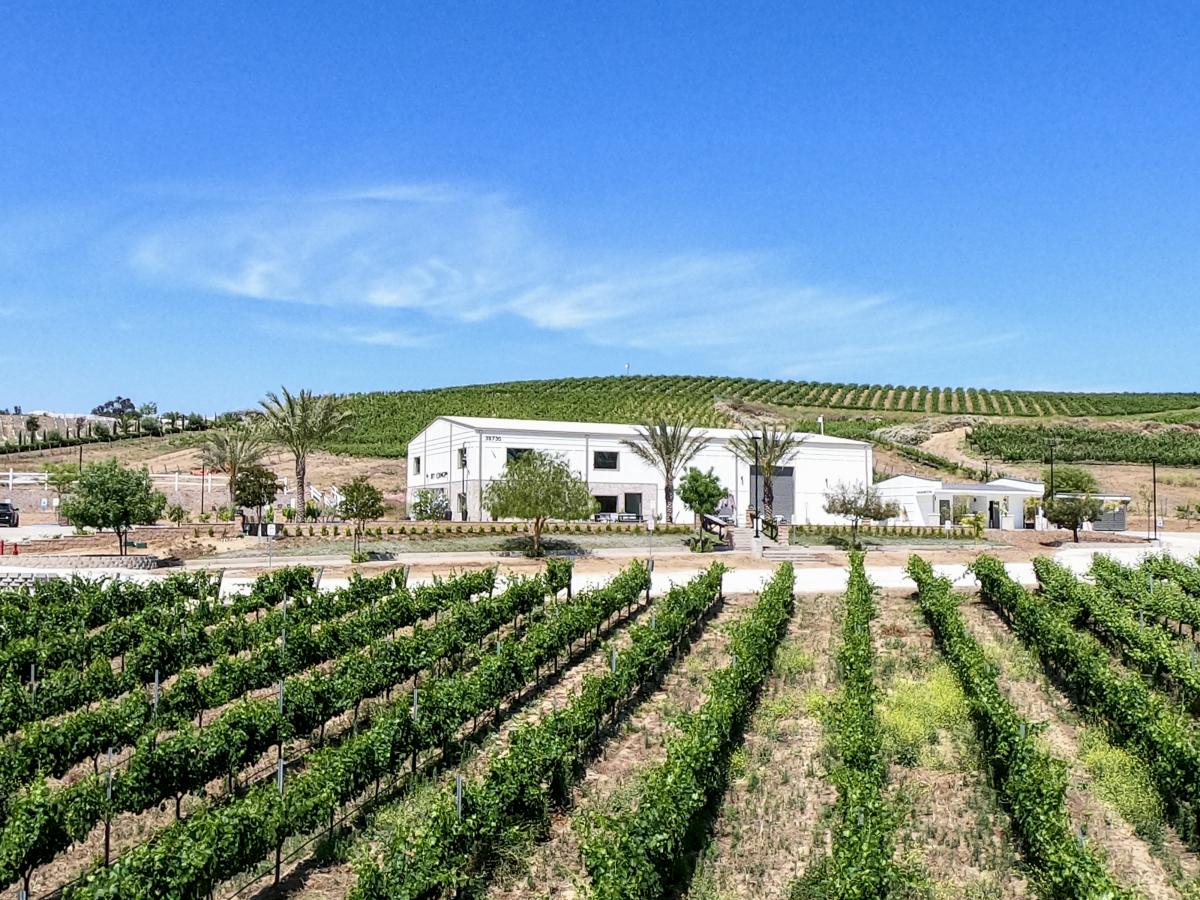 Akash Winery Vineyards